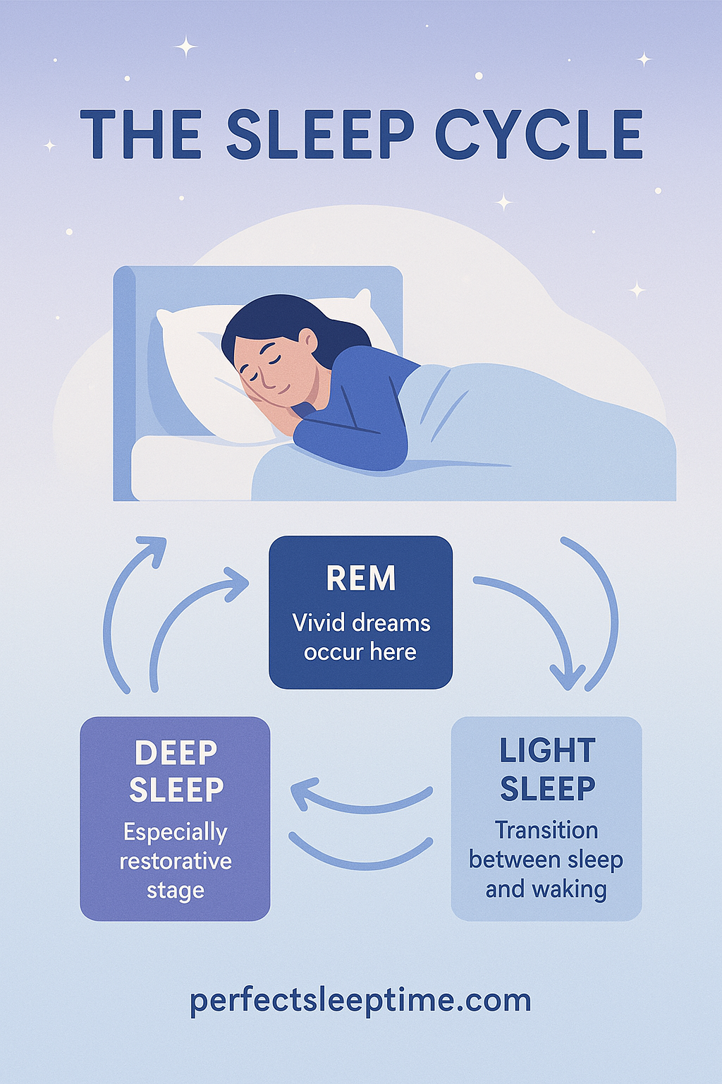 Sleep cycle infographic: REM, Deep, Light stages